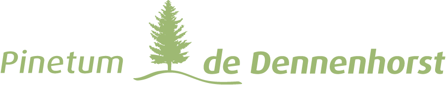 Pinetum de Dennenhorst